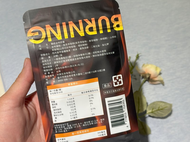 試用